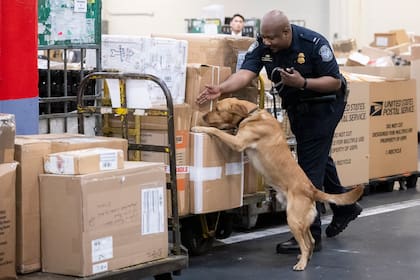 La CBP es la agencia que se encarga de garantizar la seguridad fronteriza al regular la entrada de personas y mercancías