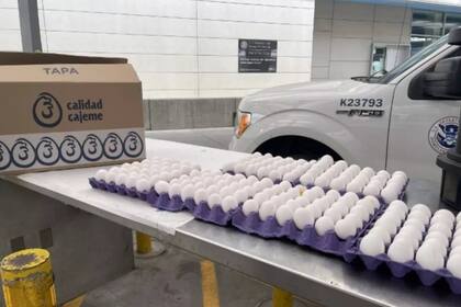 La CBP ha registrado un incremento del 158% en las incautaciones de huevos desde el inicio del año fiscal 2024