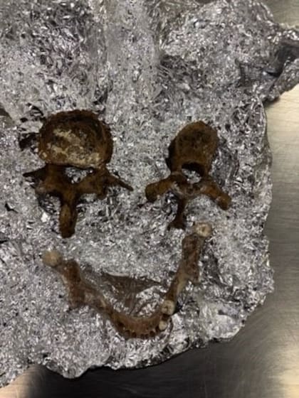 La CBP halló plantas prohibidas, cigarros no declarados y una bolsa de lona envuelta en papel aluminio que contenía lo que aparentaban ser restos humanos