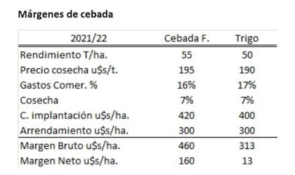 La cebada forrajera aventaja al trigo con un margen bruto de 460US$/t vs 313US$/t del trigo. Ello es consecuencia de un mayor rinde teórico de la cebada y de un precio levemente mayor
