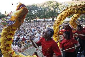 Año Nuevo chino: miles de personas festejaron ayer, entre bailes y dragones