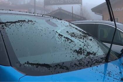 La ceniza o lapelli del volcán Etna cayó sobre la ciudad de Catania, en el este de Sicilia y provocó el cierre del aeropuerto