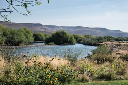 La cercanía del río Chimehuin es garantía de frescura en los veranos patagónicos y un plus invaluable en las vistas desde la casa.