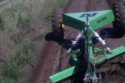 La champion de arrastre de Bava