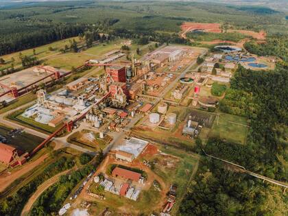 La chilena Arauco anunció una inversión de US$150 millones para modernizar sus plantes en la Argentina