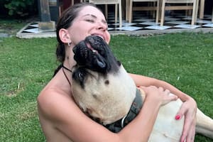 La China Suárez en el ojo de la tormenta tras perder a su perro en el barrio privado de Mauro Icardi