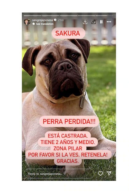La China Suárez había perdido previamente a Sakura en Pilar