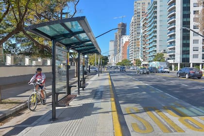 La ciclovía de avenida Del Libertador fue una de las obras más cuestionadas de toda la red