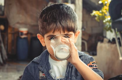 La ciencia afirma que el consumo de leche de origen animal en niños y adolescentes permite el desarrollo y crecimiento de los huesos de forma sana