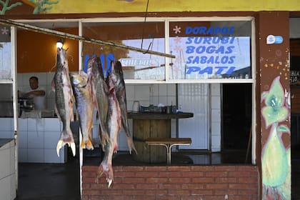 La ciencia es clara: las sequías prolongadas potenciadas por el cambio climático alteran las dinámicas históricas y afectan, sobre todo, a la abundancia y el predominio de las grandes especies migratorias. Puestos de pescadores en la zona de la Florida, al norte de Rosario