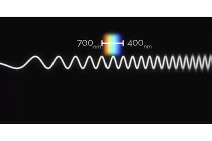 La ciencia explica la existencia de los colores (Foto BBC)