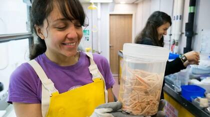 La científica mexicana Guadalupe Bribiesca-Contreras colabora en la investigación de las criaturas del mar profundo.