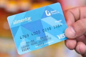 La cifra de la Prestación Alimentar para octubre de 2024