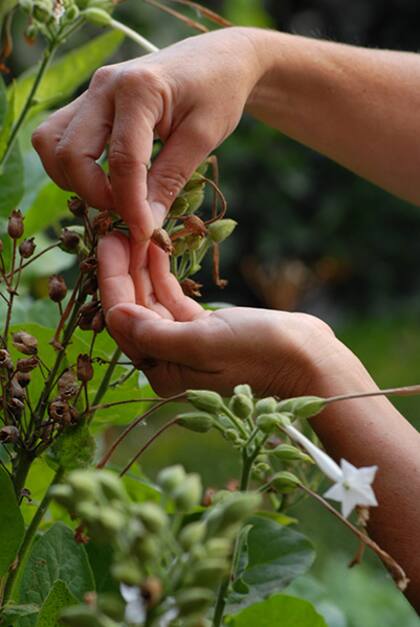 La cifra que cobran los caseros por hora y por mes