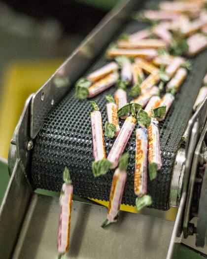 La cinta por donde llegan los palitos antes de ser embolsados.