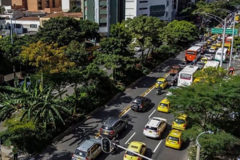 The Colombian city managed to reduce the heat with a network of green corridors