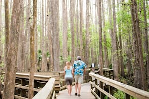 La ciudad, a dos horas de Orlando, que es perfecta para jubilarse en 2026