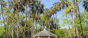 La ciudad más segura para vivir en Florida es de las mejores en EE.UU.