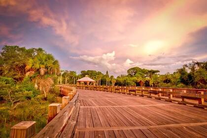 La ciudad de Naples fue oficialmente fundada en 1886
