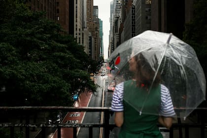 La ciudad de Nueva York ofrece un estilo de vida vibrante pero también altos costos para las familias