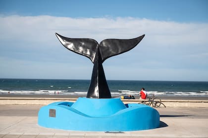 La ciudad es ideal para el avistaje de ballenas de julio a noviembre