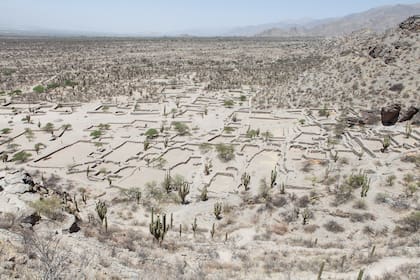 La Ciudad Sagrada de los Quilmes estaba levantada sobre los cerros Calchaquíes.