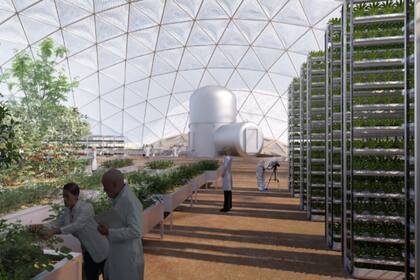 La ciudad se autoabastecerá a partir del crecimiento intensivo de huertas