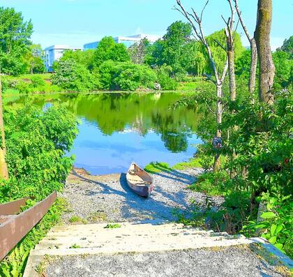 La ciudad se encuentra bajos las protecciones de ciudad santuario por las leyes estatales de Massachusetts