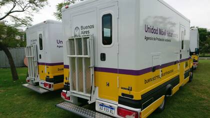 La Ciudad sumará cuatro móviles de atención veterinaria y castraciones gratuitas