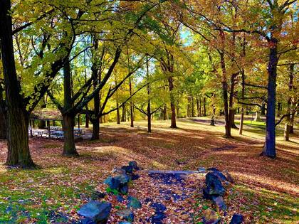 La ciudad también se destaca por sus amplios espacios verdes, ideales para reconectar con la naturaleza