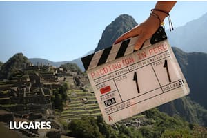 El osito adorado por los ingleses vuelve a su país natal y recorre sus hitos