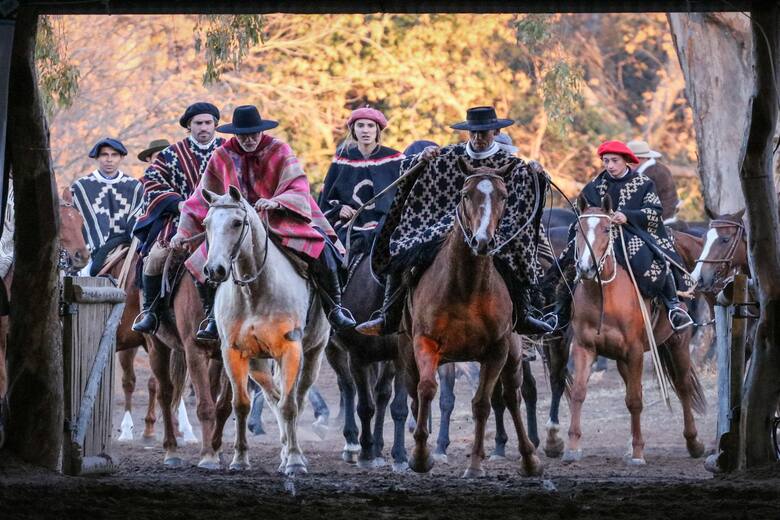 Un encuentro de tradición y pasión: la competencia de doma que conquista el polo argentino