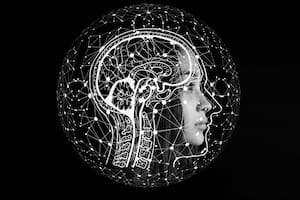 La clave de este avance se encuentra en el control de las conexiones neuronales, donde se almacenan los recuerdos.