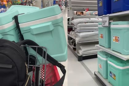 La clave del ahorro podría estar en una etiqueta llamada “Swan Squad”