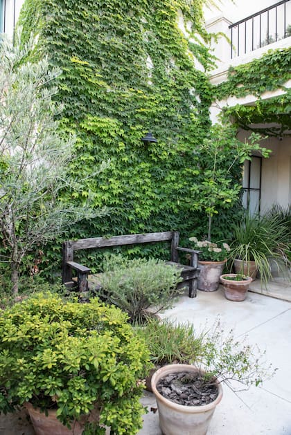 La clave está en elegir especies que requieran riego moderado y poco mantenimiento