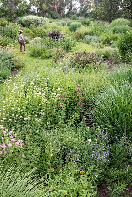 La clave está en la estructura, la selección vegetal y una planificación consciente que contemple clima, uso y paisaje, más allá de las floraciones de temporada