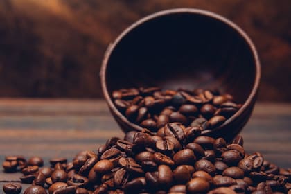 La clave podría estar en la composición química integral del grano, según Kisler