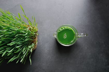 La clorofila puede ser encontrada en todos los vegetales verdes: espinaca , acelga, lechuga, espárragos, brocoli, kale, repollitos de Bruselas, etc.