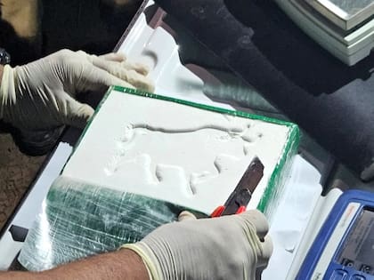 La cocaína que transportaba la narcoavioneta estaba marcada por el sello de un toro