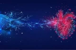 El sistema para escuchar al corazón y vivir mejor