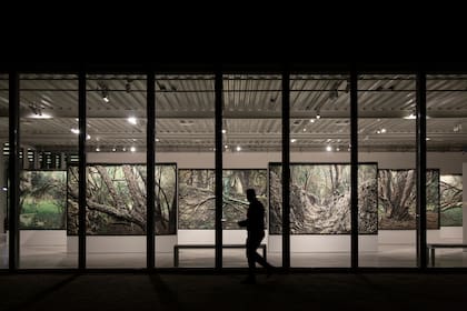 La colección en Malba Escobar