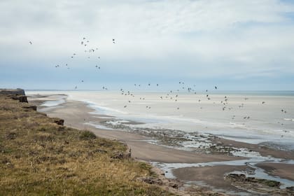 La colonia queda frente al mar argentino.