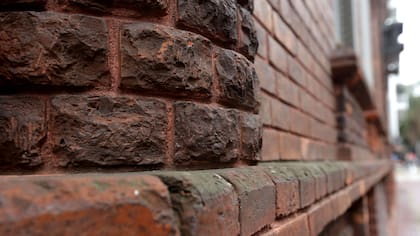 La Colorada, emblema británico en el Botánico