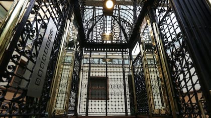 La Colorada, emblema británico en el Botánico