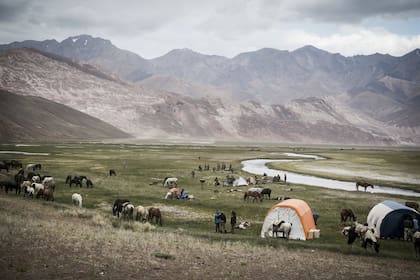 La columna principal del Ejército de los Andes contaba con 4000 hombres y 10.000 mulas