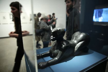 La combinación de exposiciones construye según Rosenberg un relato sobre lo social, lo moral, lo polÃtico"