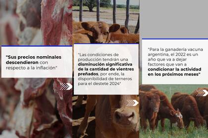 La Comisión alertó sobre el estado en el que está la actividad