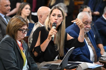 La comisión de Justicia y Asuntos Penales avanzó con la iniciativa que propone modificaciones al Código Penal de la Nación