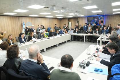 La comisión de Salud envió un pedido de informes sobre el fentanilo adulterado al Poder Ejecutivo con carácter de urgente