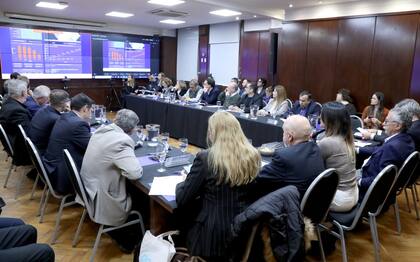 La Comisión para la Certificación de la Eliminación de la Circulación Endémica de Sarampión, Rubéola y Síndrome de Rubéola Congénita se encargará de confirmar o descartar los casos sospechosos de sarampión